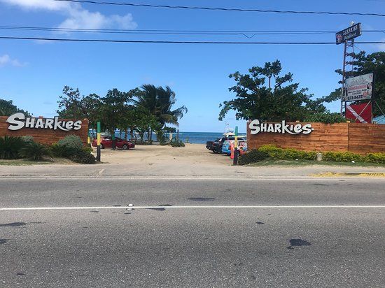 Sharkies Seafood Restaurant
